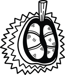 hand drawn delicious durian illustration in line style