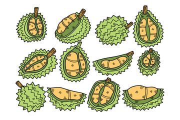 hand drawn delicious durian illustration in line style