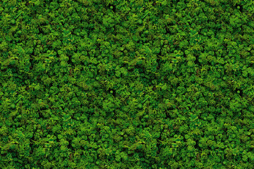 Lush green foliage forming a seamless, natural pattern perfect for decoration, tile designs, and ornamental use