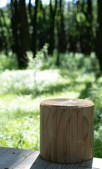 Fototapeta premium 新緑と切株