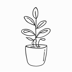 Obraz premium Minimalist Doodle of a Potted Plant Simple Line Art Illustration