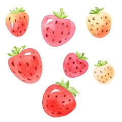 Strawberry food delicious illustration set