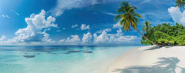 panoramic view of a tropical beach with palm trees and white sand with a blue sky and clouds, a panoramic banner for vacation 