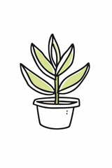 Elegant Minimalist Line Drawing of a Plant with Leaves and Pot on a Clean White Background