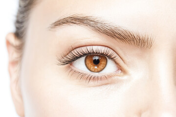 Fototapeta premium Close-up of a woman's eye with long eyelashes
