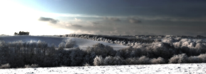 Landscape, fog and snow on field for winter season, nature wallpaper background and Christmas...