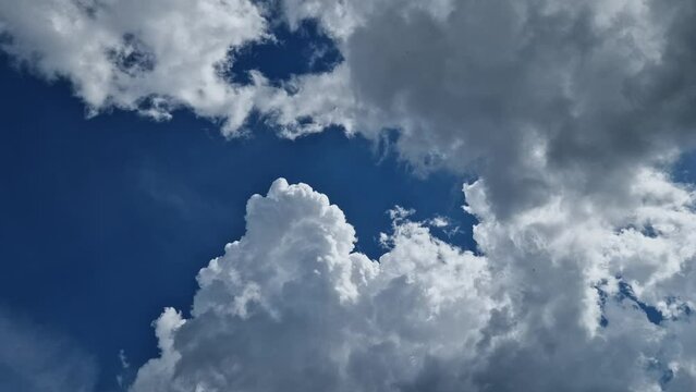 storm clouds rising in height are used by pilots flying in updrafts. ultralight flying. trees in silhouette. they gain volume