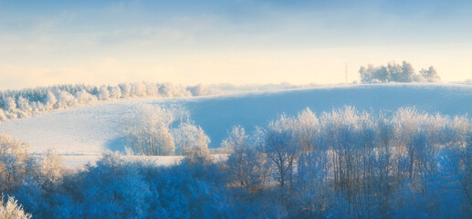 Nature, snow and trees in landscape, environment and clouds in sky outdoor, calm and space in forest. Morning, woods and winter in Canada, branches and texture of plants, earth and weather of ice