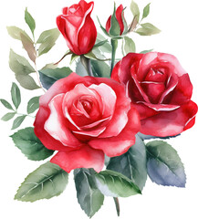Floral bouquet with red roses flowers. Watercolor illustration isolated on transparent background for wedding invitation, greeting card