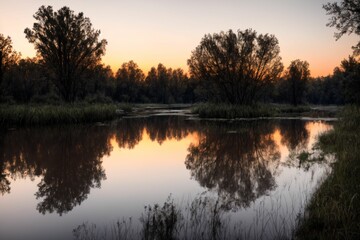 Obraz premium nature park trees and river under sunset in summer. pond lake reflections in field and fog scenery.