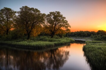 Obraz premium nature park trees and river under sunset in summer. pond lake reflections in field and fog scenery.