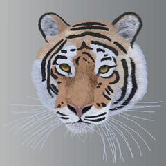 寅顔銀バック_リアルタッチ_正方形