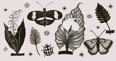 Retro collage element. Collage elements of flower, lily, lily of the valley, plants, butterfly for design. 
Trendy y2k aesthetic vector illustration. Trendy elements with retro effect, stipple effect