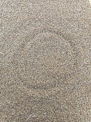 Golden wheat and grains texture with circle 