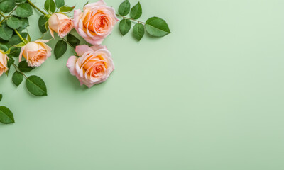 Beautiful pink roses with green leaves on light green background, perfect for greeting cards, wedding invitations or celebrations