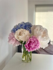A bouquet of blooming white and pink peonies of delicate color
