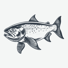 Big wild salmon seafood vintage woodcut drawing vector