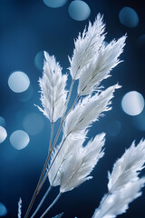 White feathery grass against blurred blue background