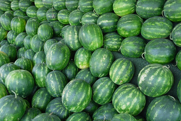 A pile of striped watermelons