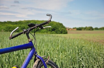 bicycle on the grass. the bike stands on the edge of a green wheat field. part of a bicycle...