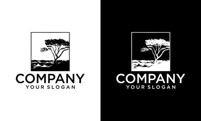 Creative acacia trees silhouette with Square logo design vector illustration