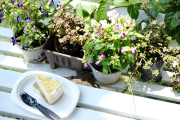 Delicious bakery cheese cake and cream homemade on wooden bench in flower garden of cafe and coffee shop