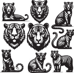 tiger bundle art ilastration