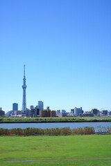 荒川と快晴の青空と東京スカイツリー縦構図