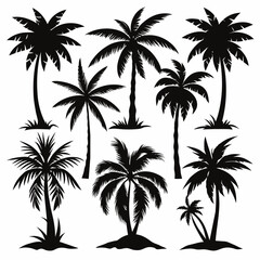 Palm tree silhouette black white set vector image 