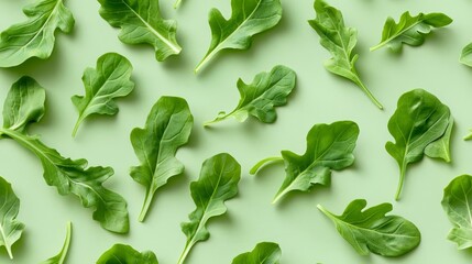Fresh arugula leaves arranged on a green background, showcasing vibrant and healthy greens perfect for salads or garnishing dishes.