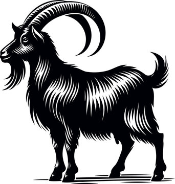 recommend clip art: goat Vector,  goat vector illustration, goat emblem design, Goat silhouette