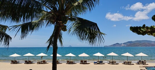 Tropical Tranquility. a serene beach scene with white umbrellas, lounge chairs under palm trees and...
