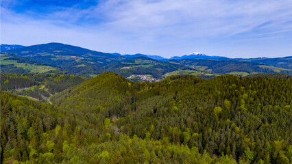 Fototapeta premium default