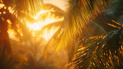 Portray the idyllic scenes of coconut plantations under the golden sun