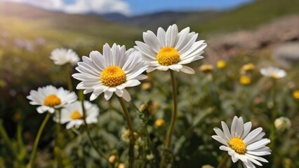 Fototapeta premium Picturesque Mountain Range and Flowers
