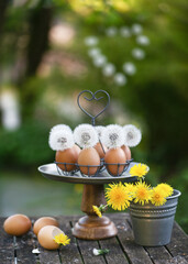 Handmade easter decoration with dandelions ´flowers in egg shell vases. Garden decoration concept....
