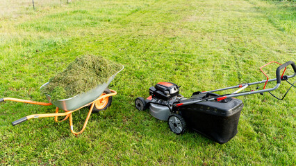Fototapeta premium Girl with a lawn mower at her dacha