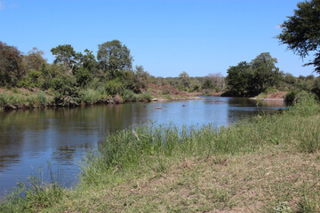 Afrikanischer Busch - Kr&uuml;gerpark - Sweni River / African Bush - Kruger Park - Sweni River /
