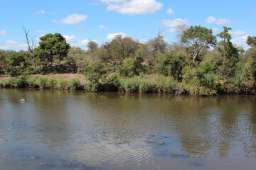 Afrikanischer Busch - Krügerpark - Sweni River / African Bush - Kruger Park - Sweni River /
