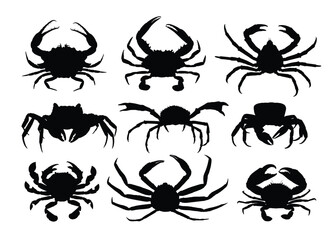 The set silhouettes of sea crabs.
