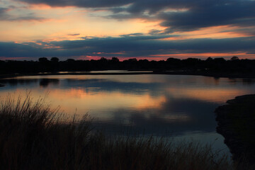 Obraz premium Afrikanischer Busch - Krügerpark - Sonnenuntergang am Nsemani Damm / African Bush - Kruger Park - Sundown at Nsemani Dam /