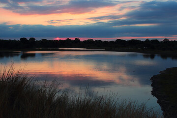Afrikanischer Busch - Krügerpark - Sonnenuntergang am Nsemani Damm / African Bush - Kruger Park - Sundown at Nsemani Dam /