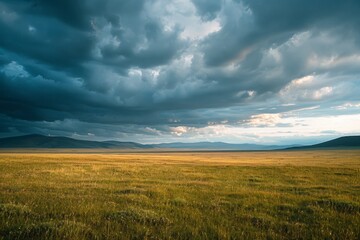 Expansive Golden Field Under Dramatic Sky