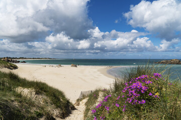 La plage des Amiets en Bretagne, sous un ciel bleu parsem&eacute; de nuages blancs, avec ses dunes orn&eacute;es de fleurs violettes au printemps.