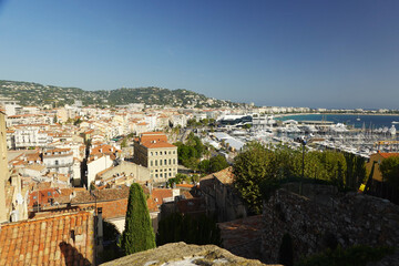 Obraz premium A harbour in the old town in Cannes, French Riviera