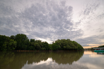Obraz premium Urban riverside forest for conservation