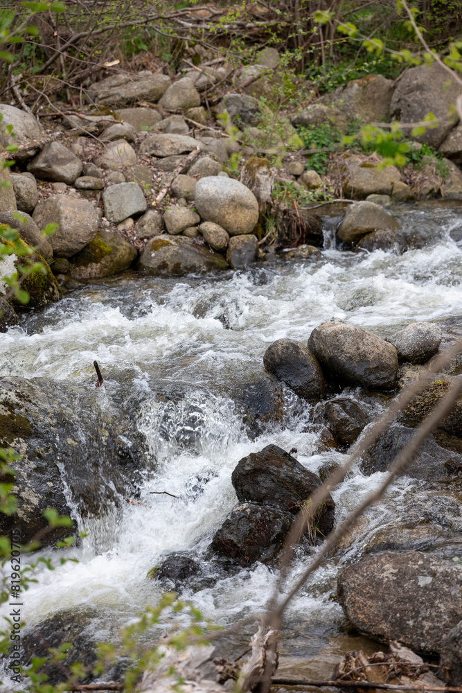 Wall mural stream in the forest