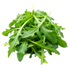 ruccola leaves on transparent background