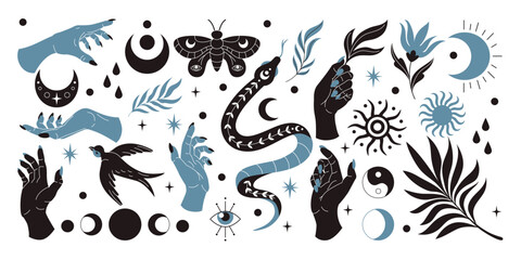 Snake mystic boho set. Sun, bird and eye black silhouette. Esoteric moon, tarot cover design, female hand, bohemian element graphic flower, floral feather, moth. Vector sticker occult tidy celestial