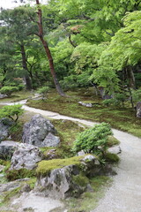 Moss garden in Ginkakuji Temple in Kyoto, Japan